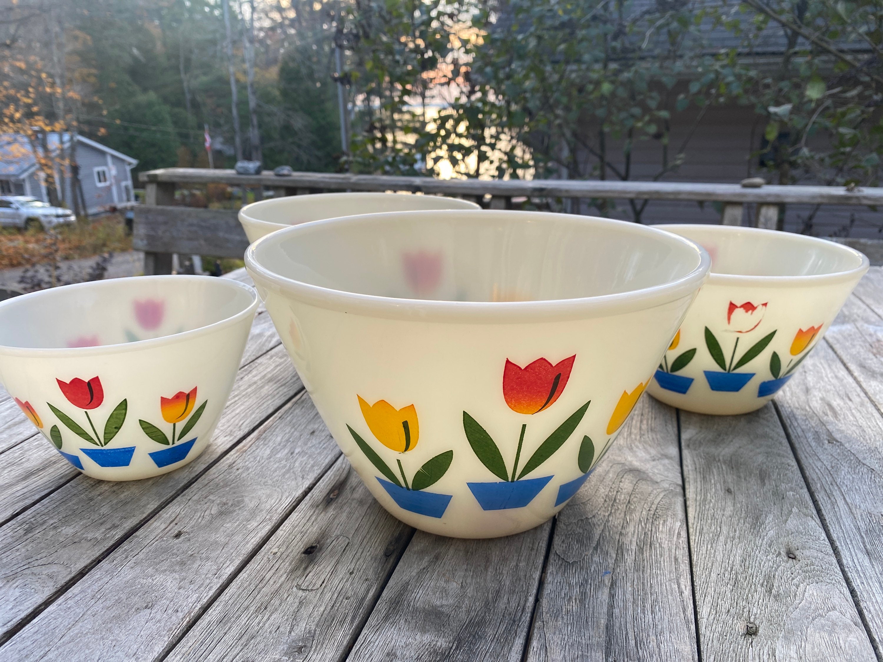 注目 Tulip, King, Fire Splash-proof, Etsy - 4 of Set Bowls, 食器