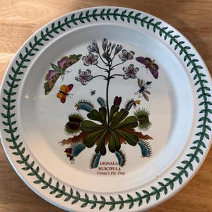 May include: A white ceramic plate featuring a botanical illustration of a Dionaea muscipula, or Venus's Fly Trap, with green leaves, traps, and small flowers. The rim is decorated with a green leaf pattern, and the text reads DIONAEA MUSCIPULA Venus's Fly Trap.