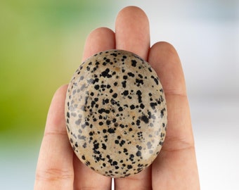 May include: A smooth, oval-shaped dalmatian jasper stone with a speckled pattern of black and brown spots.