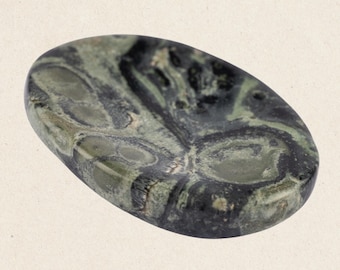 Kambaba Jasper Worry Stone for Anxiety Relief, Healing Crystals and Natural Energy Healing Thumb Stone, Perfect Meditation & Spiritual Gift