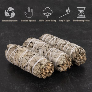 White Sage Smudge Kit, Sage Smudge Cleansing Kit, Abalone Shell, Palo Santo, 7 Chakra Stone, Chakra Crystal Bracelet, Feather & Instructions image 3