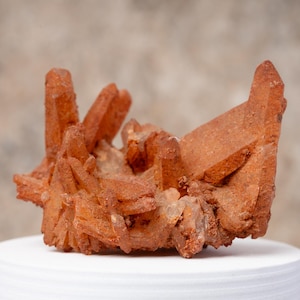 May include: A cluster of reddish-orange quartz crystals. The crystals are clustered together, with some pointing upwards and others forming a more compact structure. The quartz sits on a white surface, with a neutral background.
