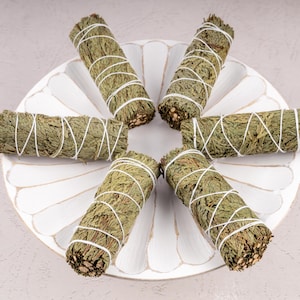 May include: Five bundles of dried cedar smudge sticks on a white ceramic plate. The smudge sticks are tied with white string and are ready to be used for cleansing rituals.