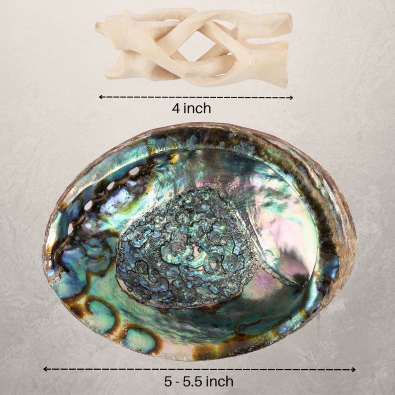 Pu&ograve; includere: Un grande guscio di abalone con colori iridescenti, che misura 14 cm di diametro, e un piccolo supporto in legno largo 10 cm.