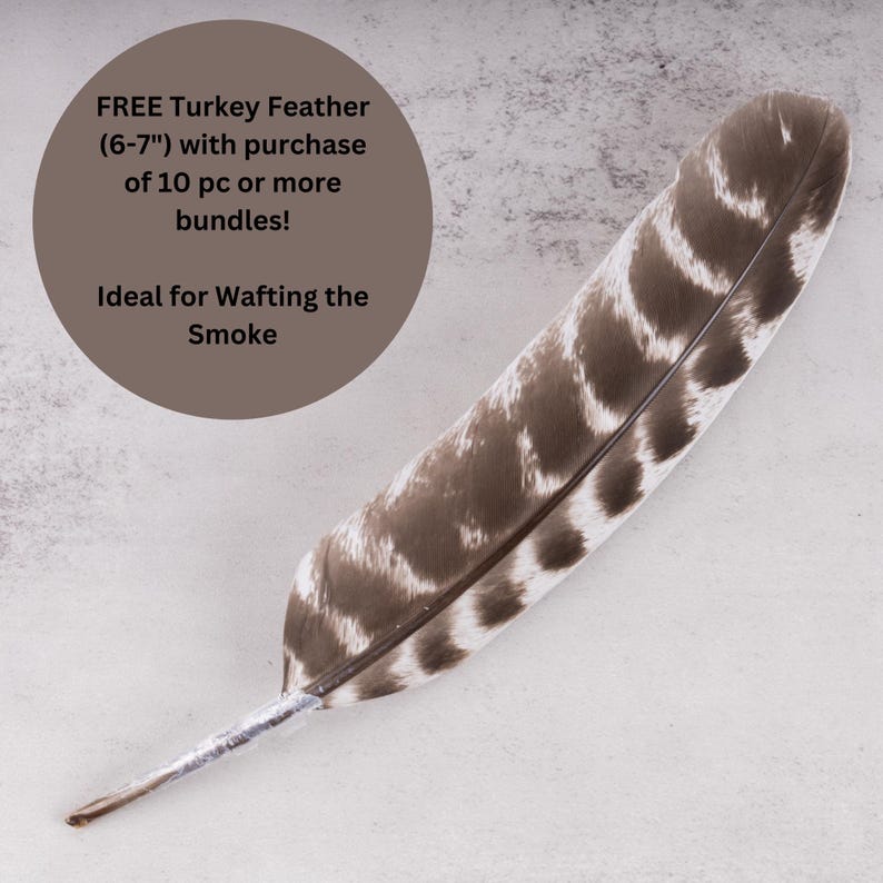 May include: A brown and white turkey feather, approximately 6 to 7 inches long, with a silver tip. The text "FREE Turkey Feather (6-7") with purchase of 10 pc or more bundles! Ideal for Wafting the Smoke" is written in a brown circle.