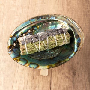 May include: A sage smudge stick wrapped in white string, resting in a green, iridescent abalone shell.