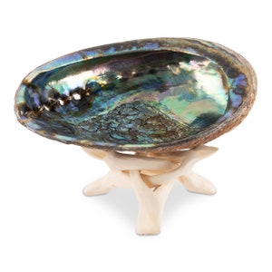 Abalone Shell with Wooden Stand, Incense Holder, Sage Smudge Bowl, Sea Shell, Decoration shell, Shell Gift, Shell Display, Choose Size 5-7"