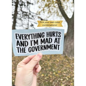 Everything Hurts and I’m Mad At The Government vinyl decal sticker