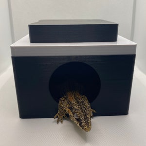 Humid Hide (Lay/Breeder Box)