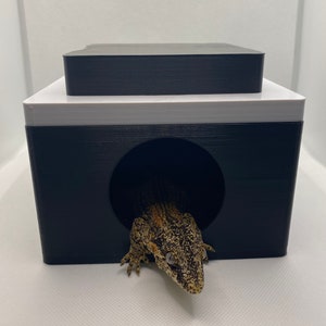 May include: A black and white reptile hideout with a circular entrance. A gecko is partially visible, emerging from the opening. The hideout has a rectangular shape with a flat top, providing a secure and enclosed space for reptiles.