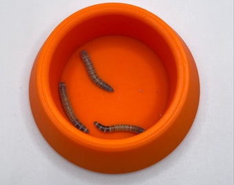 Comedero para insectos y reptiles: ¡sin escapatoria!