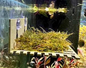 Suction Moss Table/Betta Bed