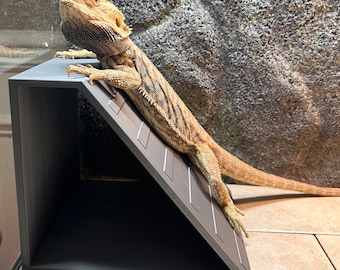 Rampa para reptiles