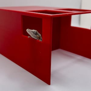 Könnte beinhalten: Ein leuchtend rotes Reptiliengehege mit einem Gecko, der durch eine quadratische Öffnung blickt. Das Gehege hat ein modernes, minimalistisches Design mit klaren Linien und einer glatten Oberfläche. Kopf und Auge des Geckos sind sichtbar.