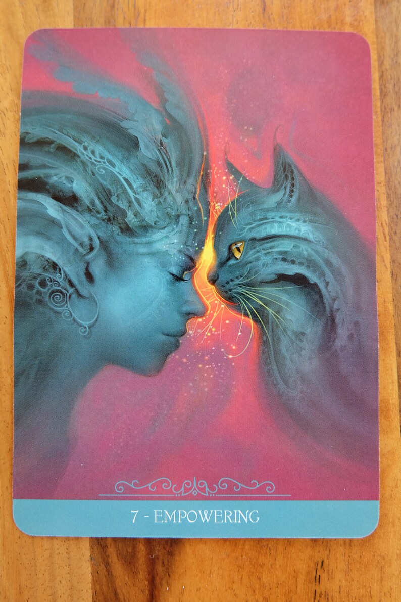 Barbieri Fantasy Cats Oracle Tarot Card Cat tarot Katten Etsy