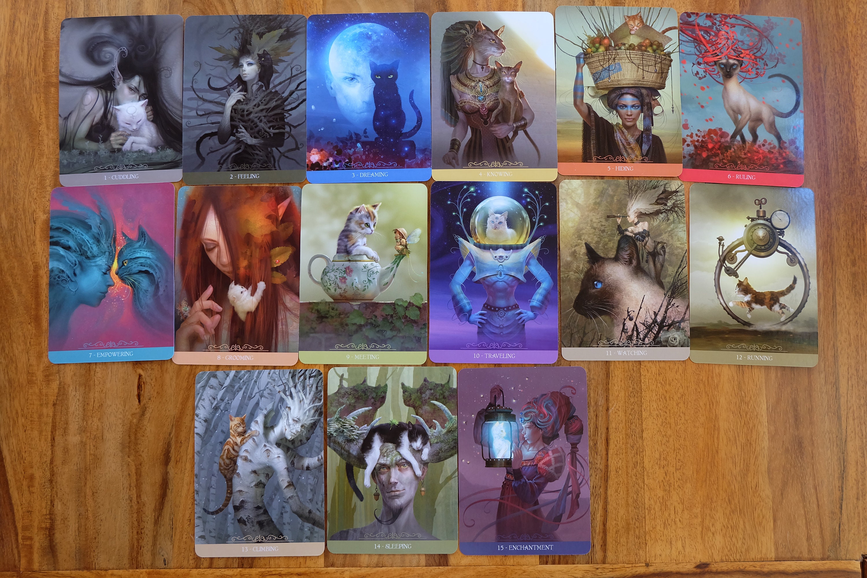 Barbieri Fantasy Cats Oracle Tarot Card Cat tarot Katten Etsy