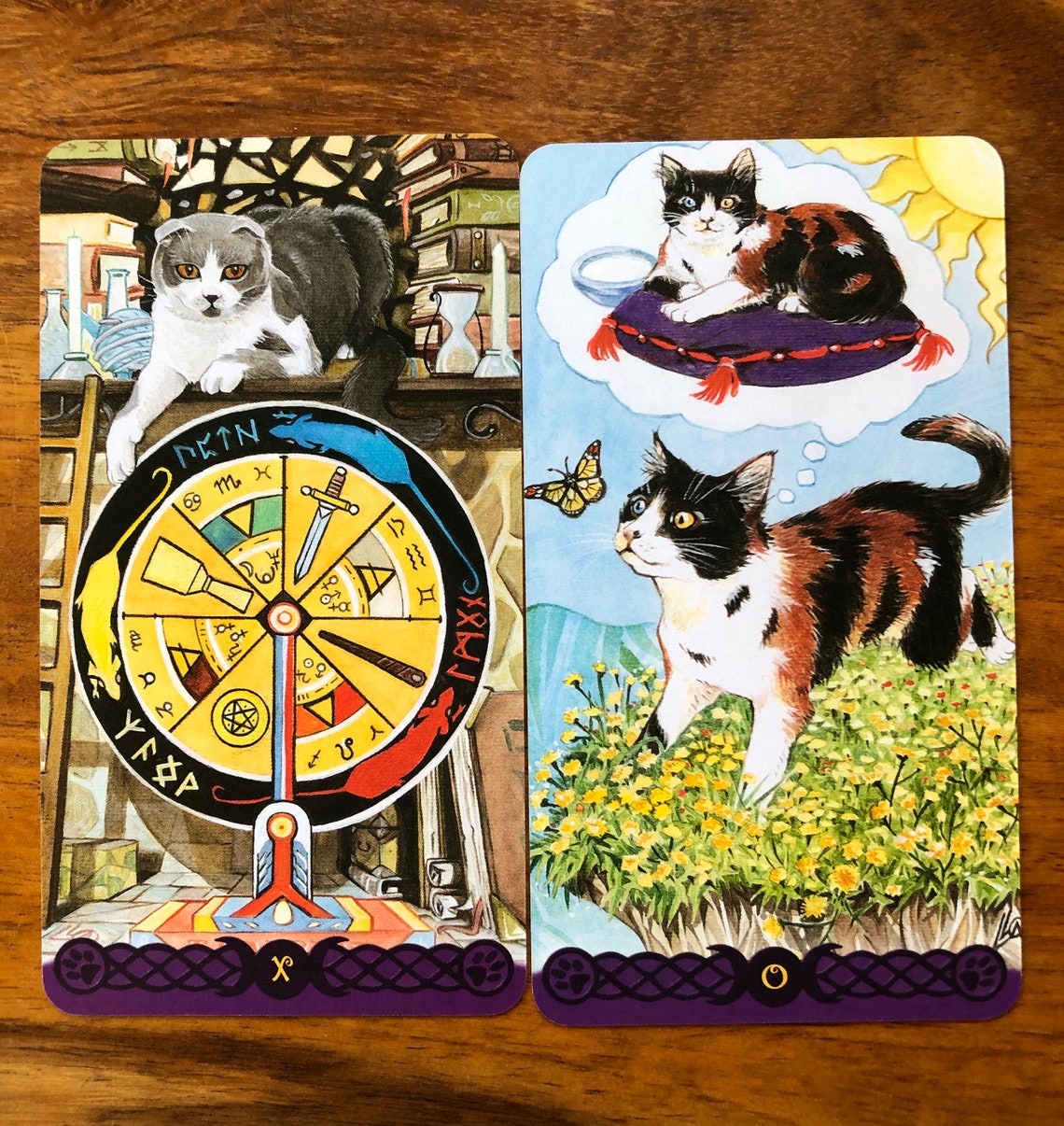 Tarot of Pagan Cats Full Size Deckborderless Edition Etsy