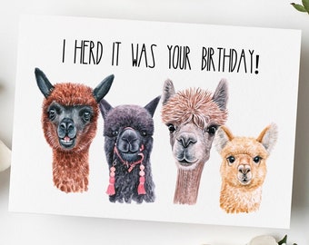 Funny Alpaca Card - Etsy
