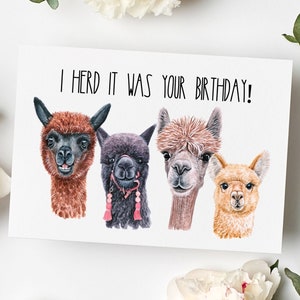 Cute and Funny Alpaca Inspired Birthday Card, Llama Birthday Card, Funny Birthday Card, Llama themed Birthday Card
