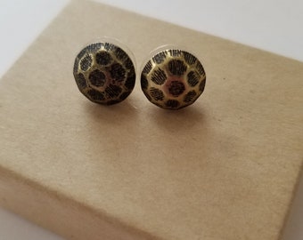 Turtle Shell Studs
