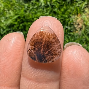 Dendritic Agate Ring, Custom, Scenic Agate Stone Available, Silver, Gold, Rose Gold, Copper Ring