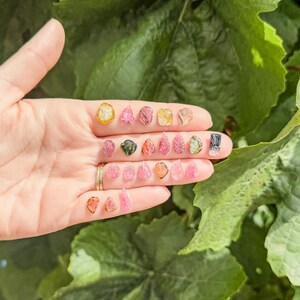 以下が含まれることがあります： ピンク、黄色、緑、透明など、さまざまな形と色の小さな彫刻された宝石のコレクション。これらのミニチュアの半透明の石は、複雑な葉のような質感をしており、列に並べられています。