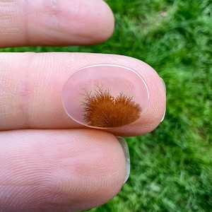 Dendritic Agate Ring, Custom, Scenic Agate Stone Available, Silver, Gold, Rose Gold, Copper Ring