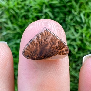 Dendritic Agate Ring, Custom, Scenic Agate Stone Available, Silver, Gold, Rose Gold, Copper Ring