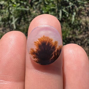 Dendritic Agate Ring, Custom, Scenic Agate Stone Available, Silver, Gold, Rose Gold, Copper Ring