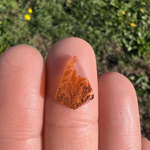 Dendritic Agate Ring, Custom, Scenic Agate Stone Available, Silver, Gold, Rose Gold, Copper Ring