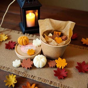 Pumpkin Wax melts, Fall Wax melts, Food Wax melts