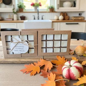 Fall Wax Melts, Pumpkin Wax Melts, Geassorteerde Pompoen, Wax Melts