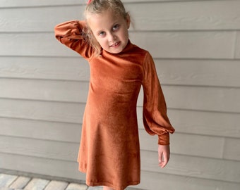 Girls Fall Dress, Winter Dress, Multiple Colors, Long Sleeves, Velour Dress