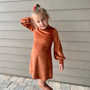 Girls Fall Dress, Winter Dress, Multiple Colors, Long Sleeves, Velour Dress