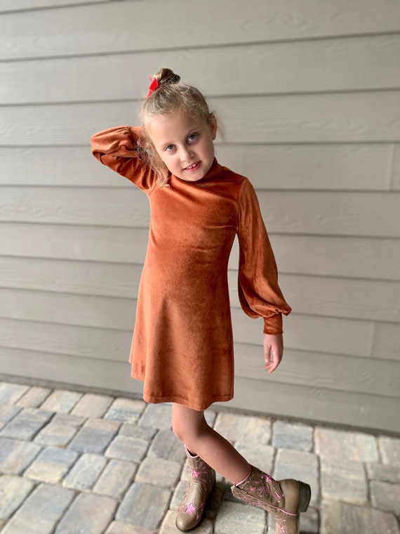 Girls Velour Dress: Long Sleeve A-Line Mock Neck