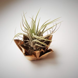 Lotus Air Plant Holder - Home Boho Decor  - Best Friend Gift - Desk Accessories - Minimalist Zen Home Design