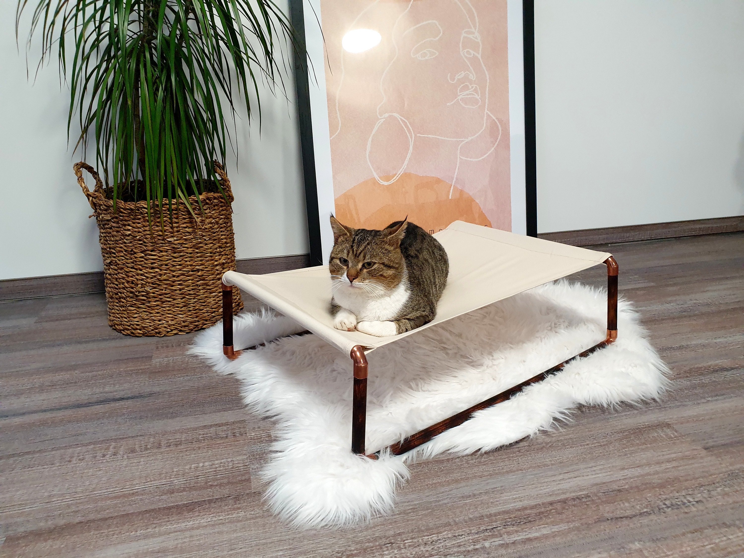 Lit de Chat Minimaliste - Grand Cadre Foncé | Lit de Chaton, Lit d'animal Familier, Meubles Chat, Pe