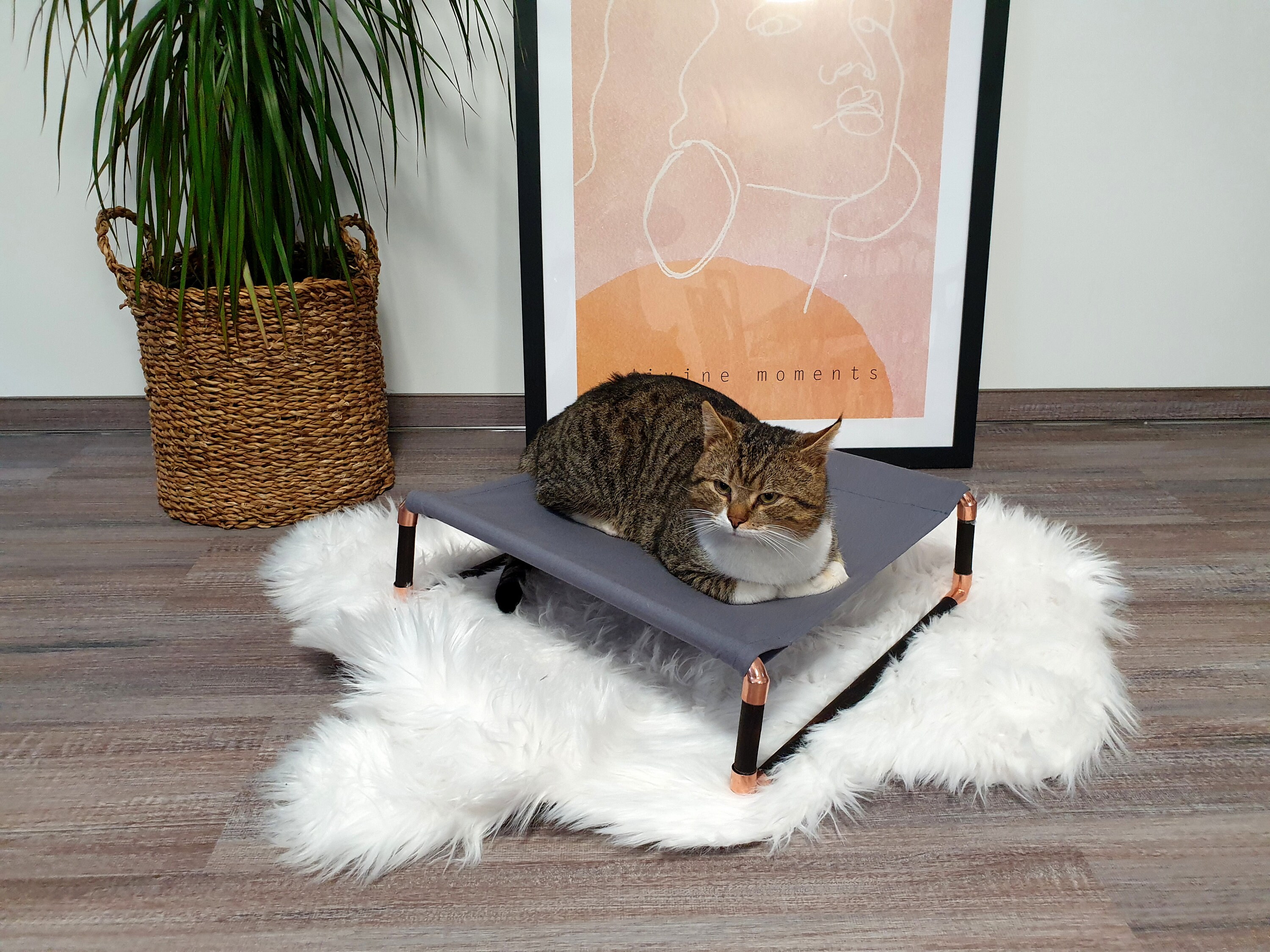MINIMALIST CAT BED Small Dark Frame Kitten Bed Pet Bed Etsy