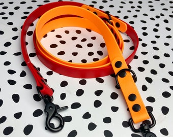 Two-Tone 6ft BioThane® Dog Training Lead: Waterproof Vegan Leather Leash