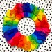 Fleece Frisbee | Dog and Puppy Toy | Fetch Toy | Recall Training Toy | Handmade Fleece Dog Toy | Rainbow | Flying Ring Toy | Dog Gift 