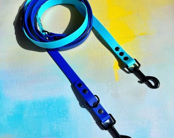 Two-Tone 8ft BioThane® Dog Training Lead: Waterproof Vegan Leather Leash