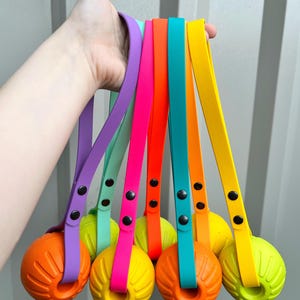 May include: A set of six colourful rubber dog toys with handles. The toys are in shades of purple, green, pink, orange, teal, and yellow.