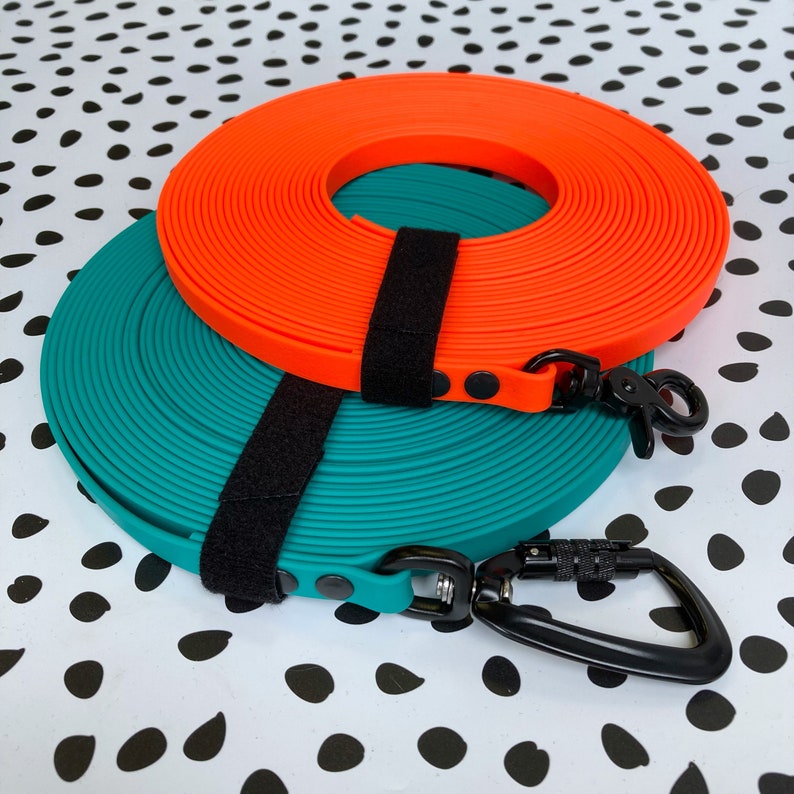 May include: Two dog leashes, one orange and one teal, with black clips and metal clasps. The leashes are coiled and stacked on top of each other.
