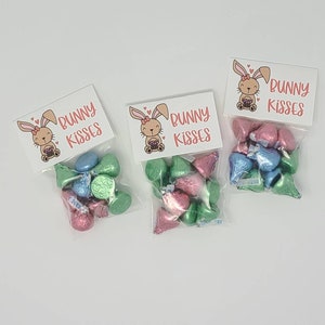 Bunny hershey kisses kids easter basket filler / easter bunny / party favors candy