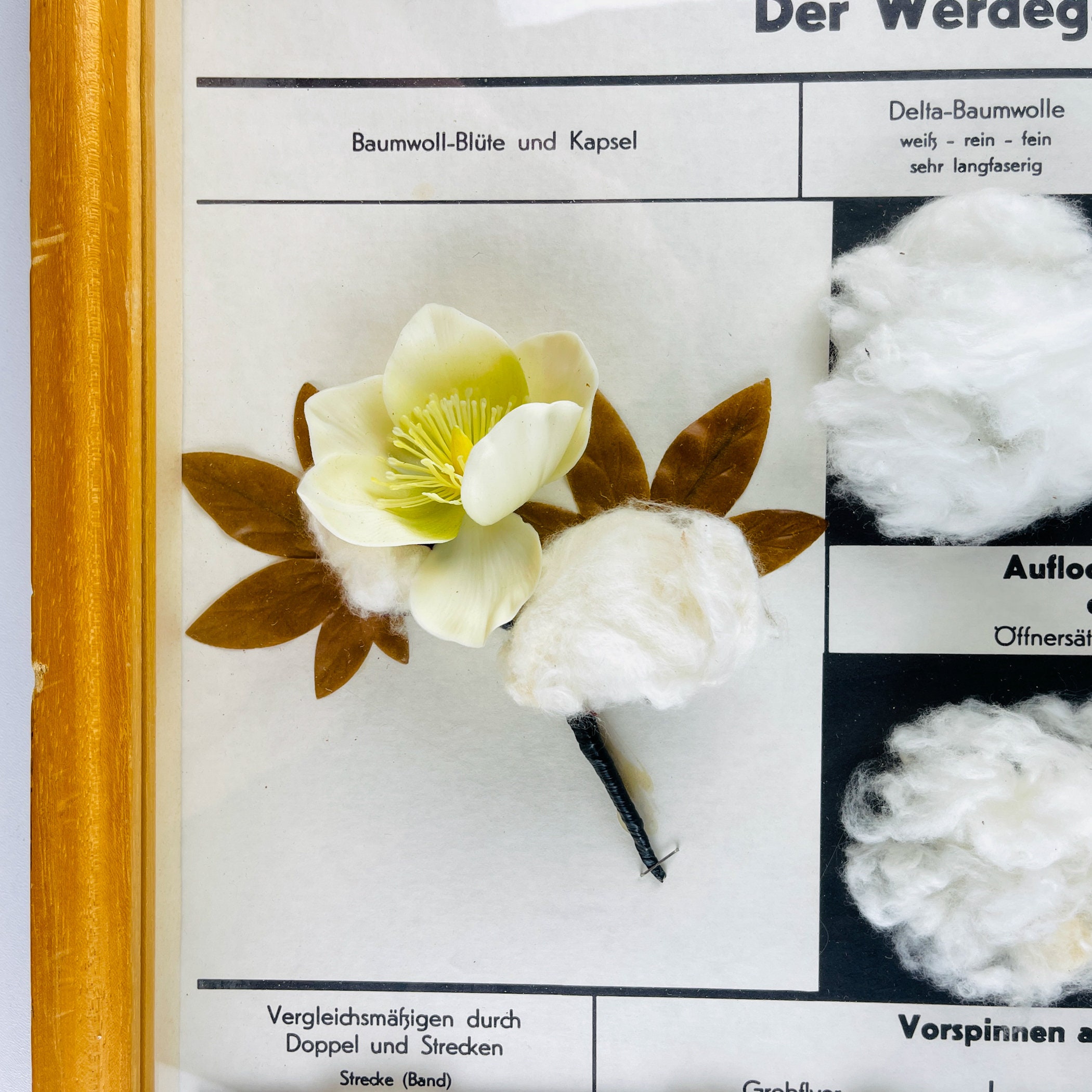 Glacier Express (2026) - All You Need to Know BEFORE You Go (with Reviews), image size:2100x2100