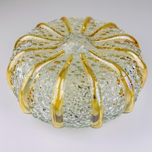 Puede incluir: Una lámpara de cristal transparente con una superficie texturizada y detalles dorados. La lámpara tiene forma redonda con una serie de crestas curvas de color dorado que irradian desde el centro. El cristal tiene una textura burbujeante.