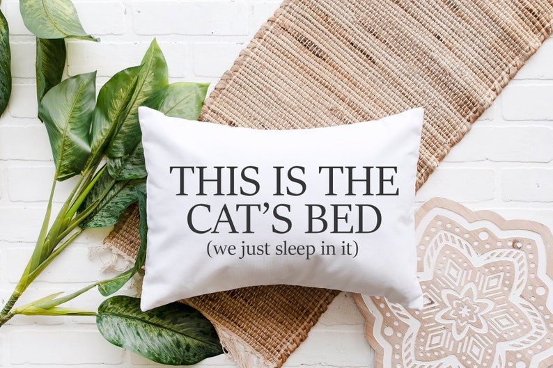 This Is The Cat's Bed SVG This Spot Reserved Svg Cat Svg Funny Cat Svg Pillow Svg Cat Bed Cat Mom Svg Crazy Cat Lady Svg image 1