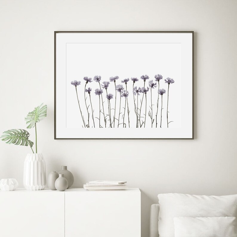 Wildflowers Horizontal Print Cornflower Wall Art Farmhouse