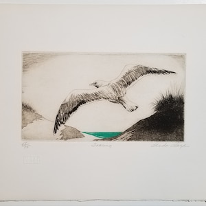 LLOYD, Linda - Original Etching &quot; Soaring &quot; Great Artwork - Signed!
