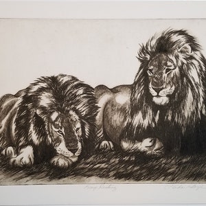 May include: A black and white etching of two lions. The lion on the left is lying down with its head resting on its paws. The lion on the right is sitting up with its head held high. The etching is signed "Freda  Sage" in the lower right corner and "King Richard" in the lower left corner.